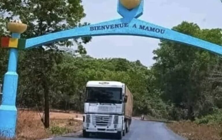 Mamou : la foudre frappe un groupe réfugié sous un manguier, une femme tuée