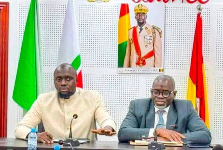 Conakry : le président limoge deux ministres, les raisons restent inconnues