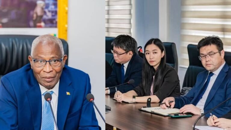 Guinée : un port géant et 160 km de rail au cœur d’un ambitieux projet chinois