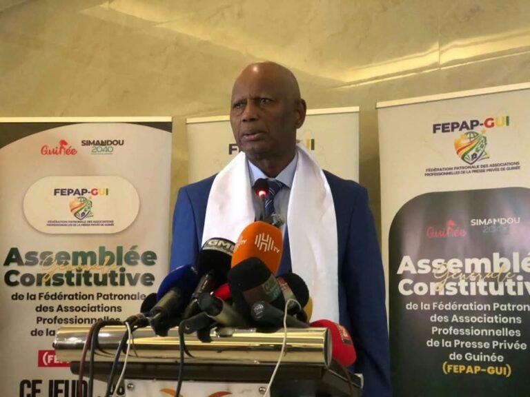 Boubacar Yacine Diallo appelle à mettre fin au « désordre » dans la presse guinéenne