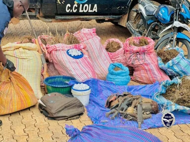 Guinée : 120 kg de cannabis saisis, trois suspects interpellés dans une opération policière à Lola