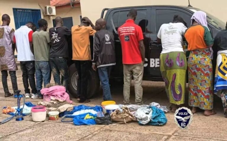 Guinée sous « Tempête » anti drogue : 12 interpellations et une importante saisie de chanvre indien à Beyla